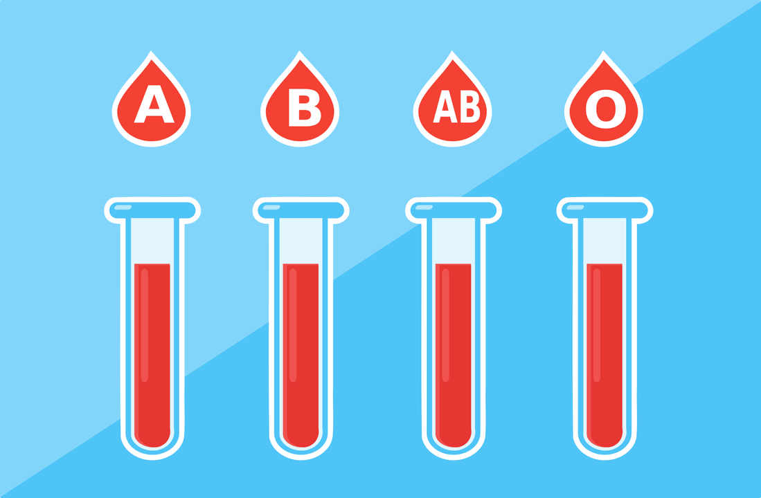 Obstajajo 4 krvne skupine - A, B, AB, O